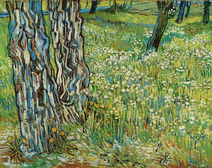 Tree trunks in the grass late April 1890