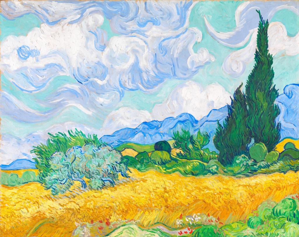 A wheatfield, with cypresses
