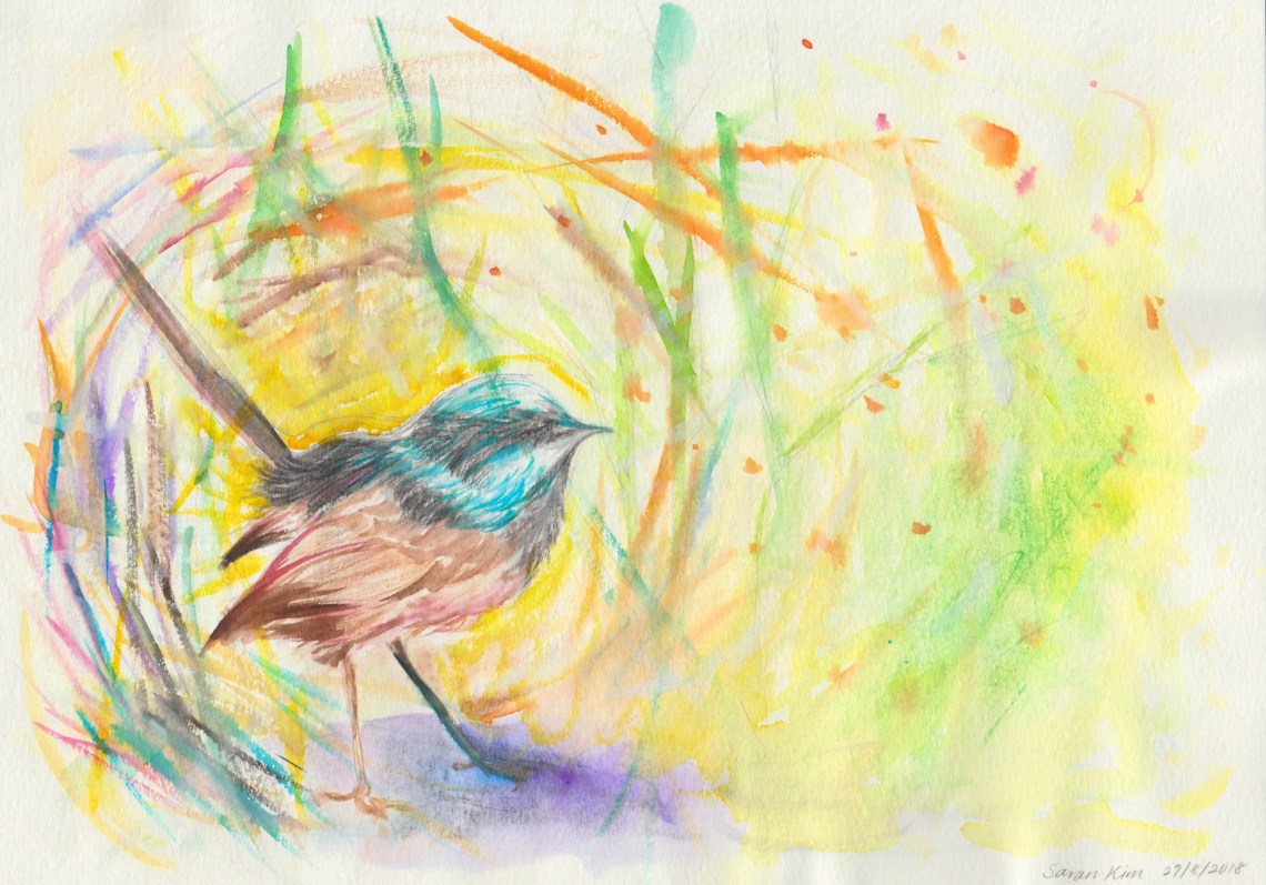 My target species for Designing Living Systems assignment