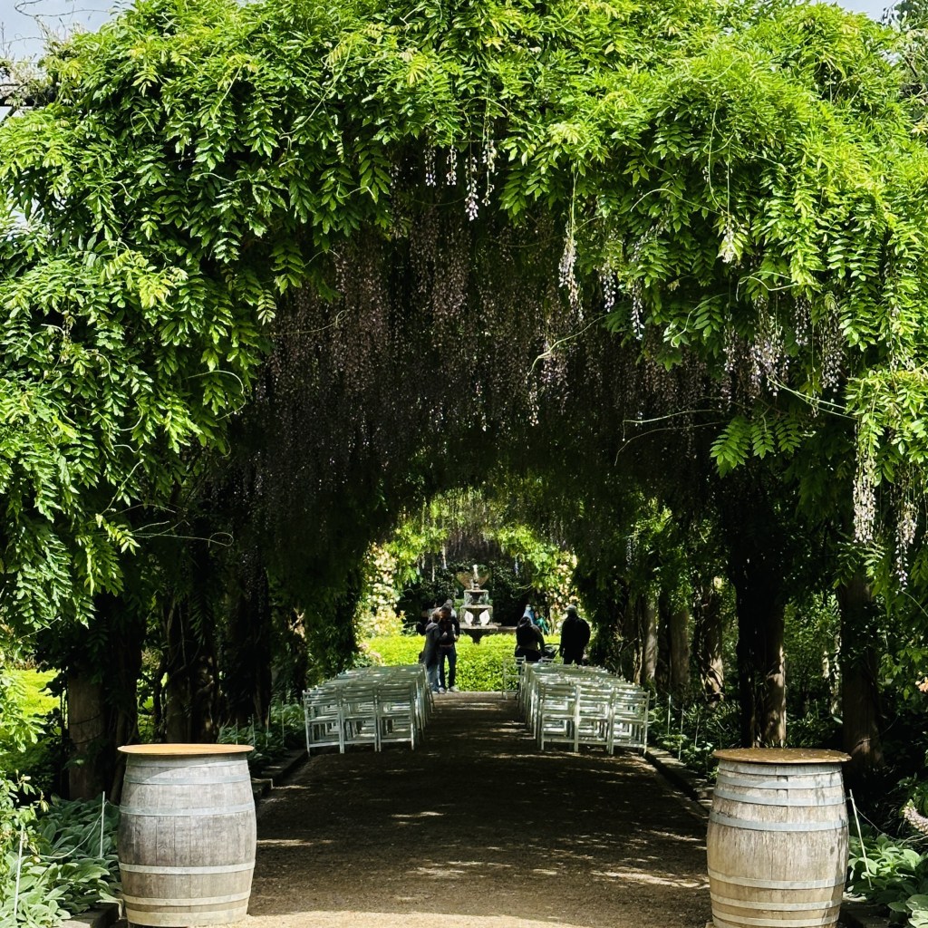Wisteria Arbour
